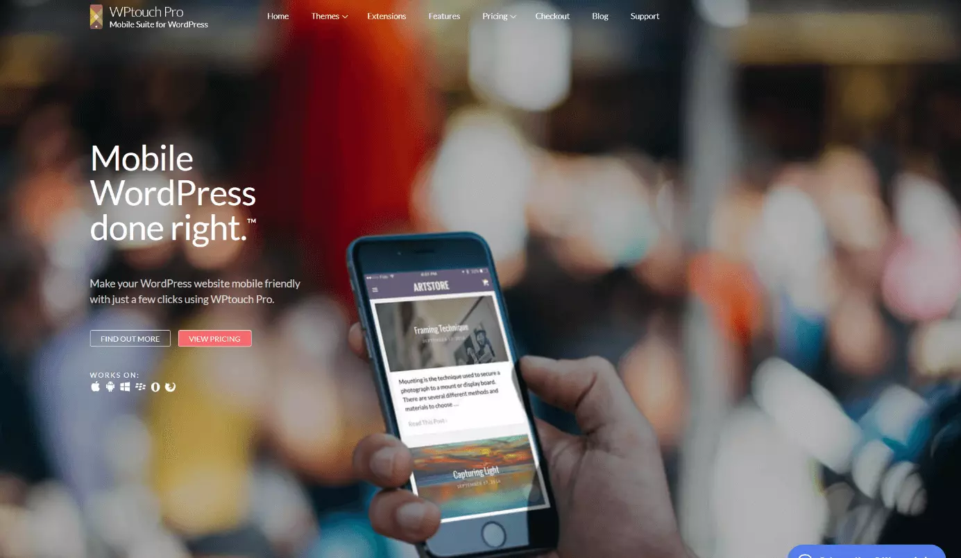 Screenshot der Website von WPtouch Pro