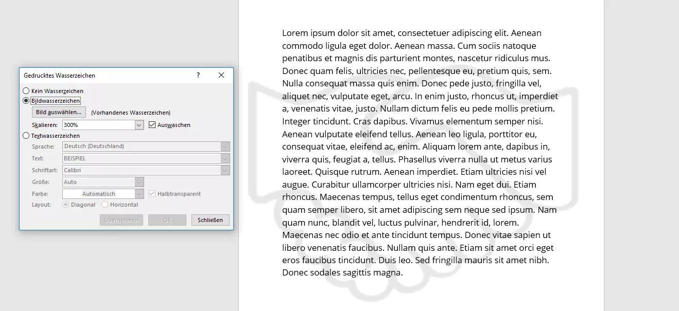 Auswahlfenster, über das sich ein Bild als Wasserzeichen einfügen lässt