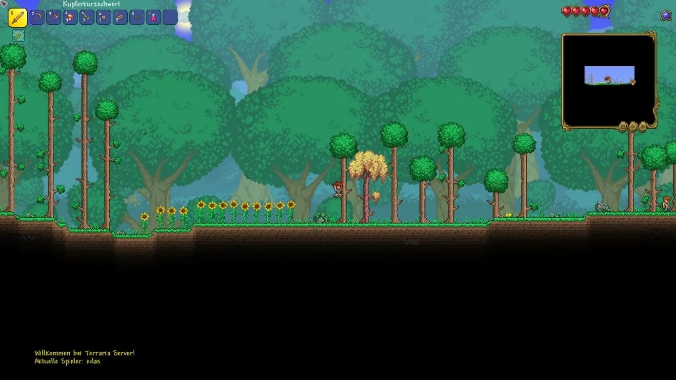 Screenshot aus Terraria