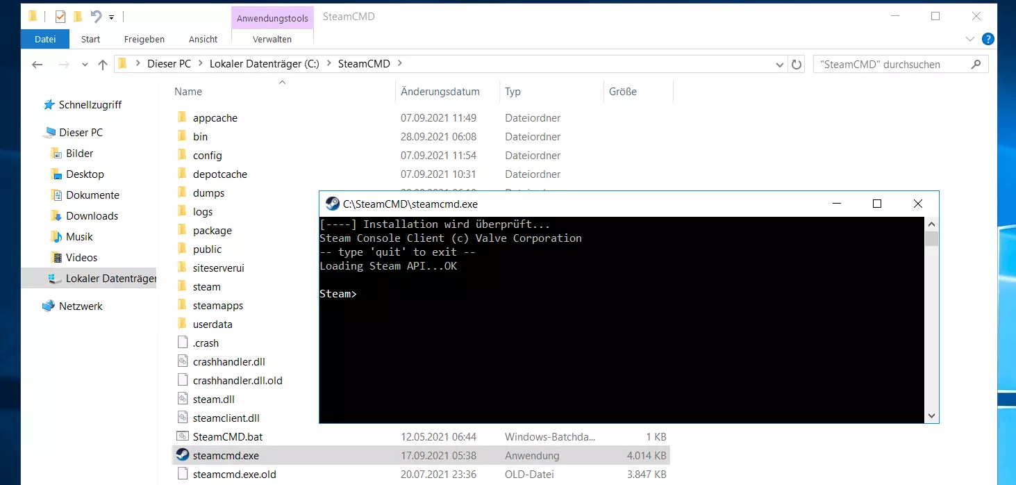 SteamCMD in der Windows-Eingabeaufforderung