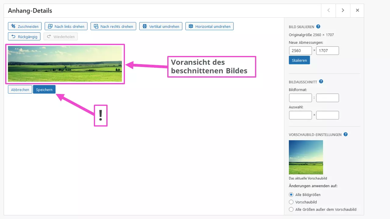 Bild in veränderter Bildgröße in der WordPress-Mediathek sichern