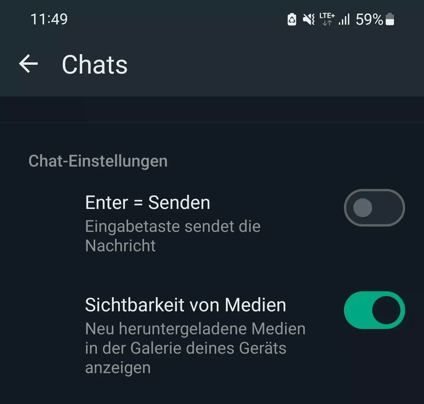 Screenshot der WhatsApp-Chateinstellungen bei Android