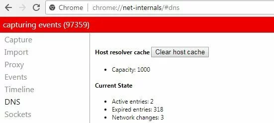 Google Chrome: „Net Internals“-Menü