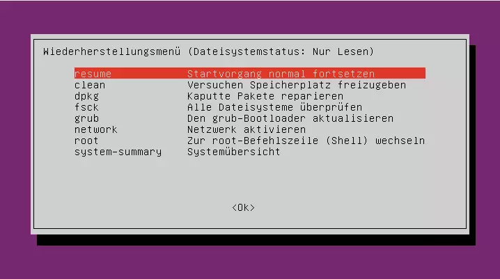 GRUB Wiederherstellungsoptionen