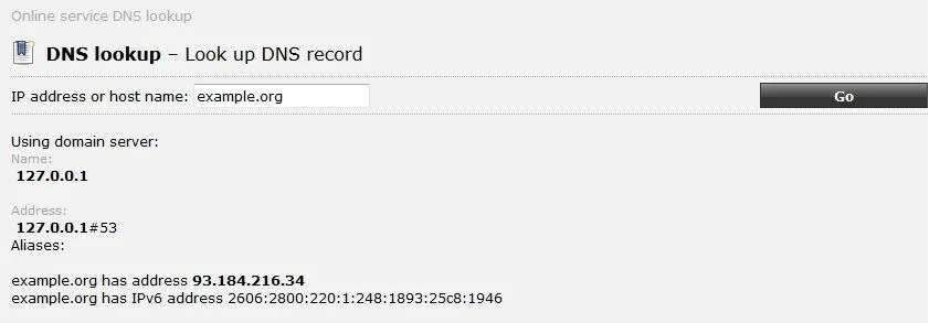 DNS lookup auf ping.eu