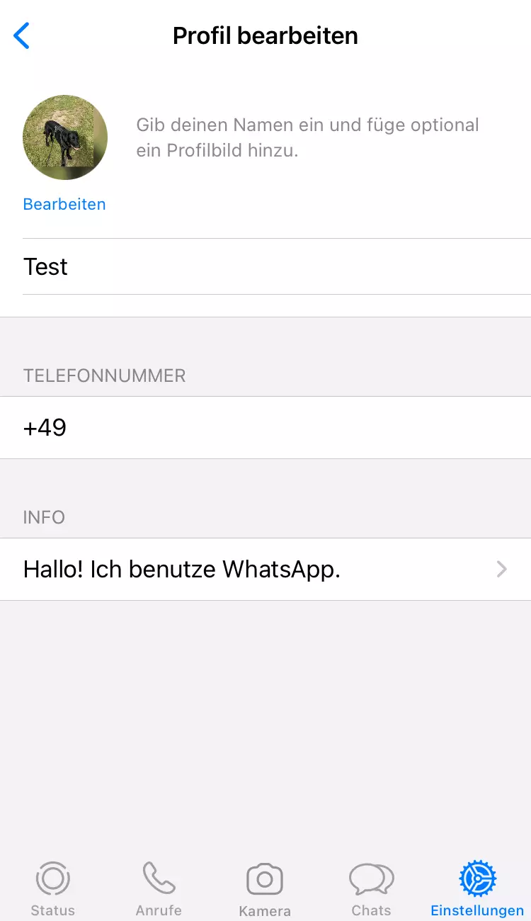 Anzeige eines komplett ausgefüllten WhatsApp-Profils