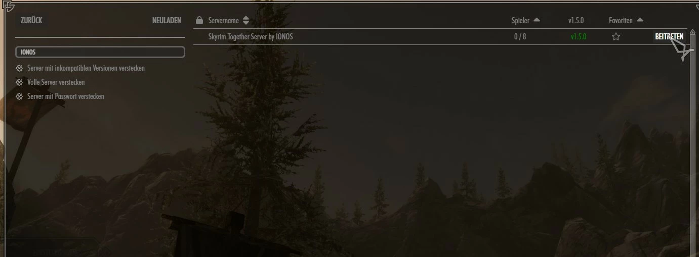 Eigener „Skyrim Together“-Server in der Auflistung öffentlicher Server