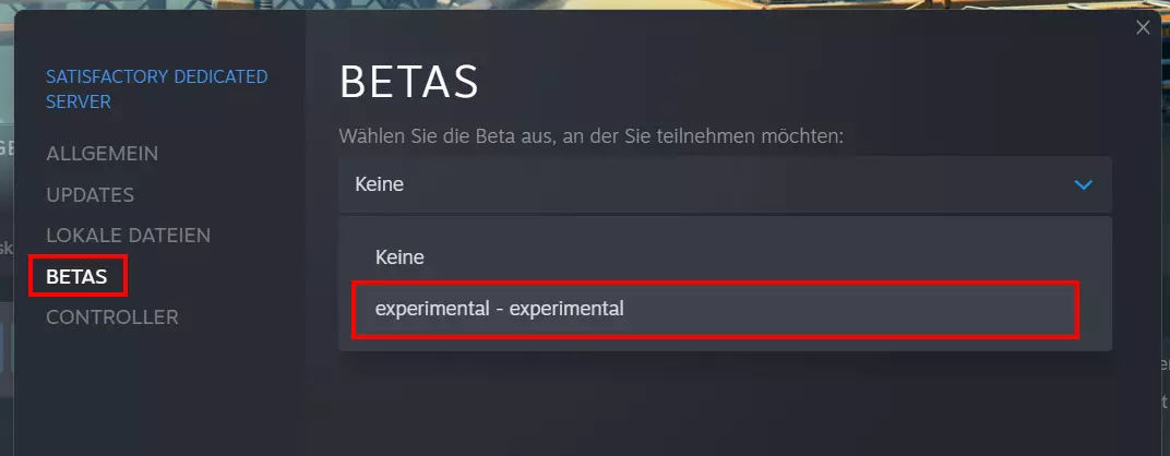 Satisfactory-Server: Umstellung auf experimentelle Version
