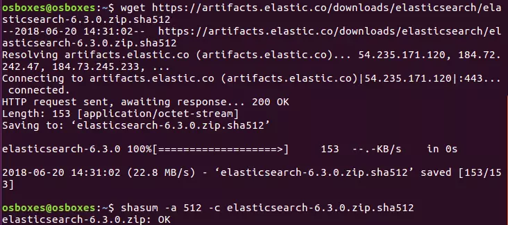 Screenshot der Konsole bei der Installation von Elasticsearch