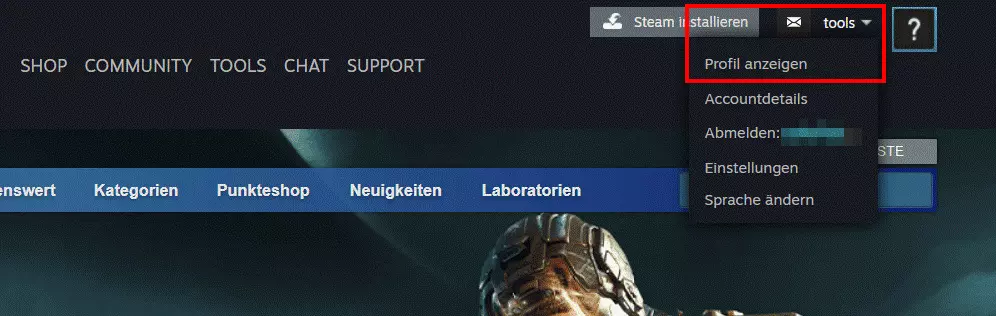 Profilmenü in der Browser-Version von Steam