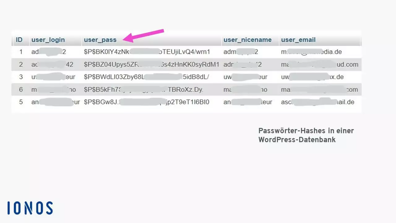 Hashtabelle in einer WordPress-Datenbank