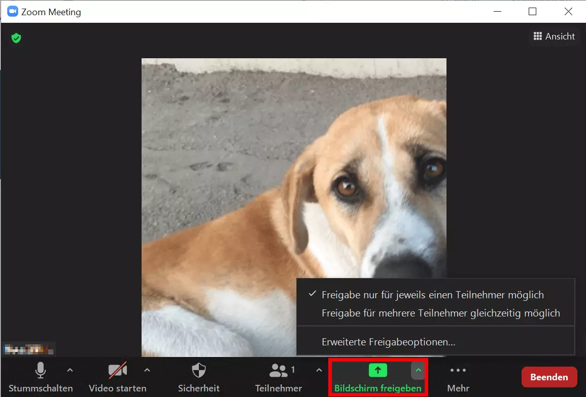 Laufendes Meeting mit Option in Zoom den Bildschirm zu teilen