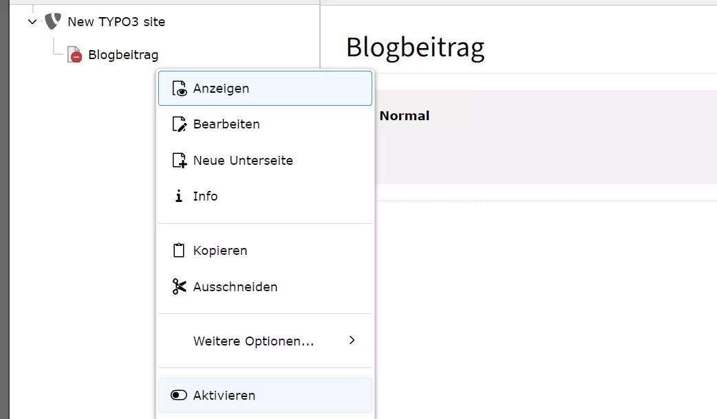 TYPO3-Post veröffentlichen