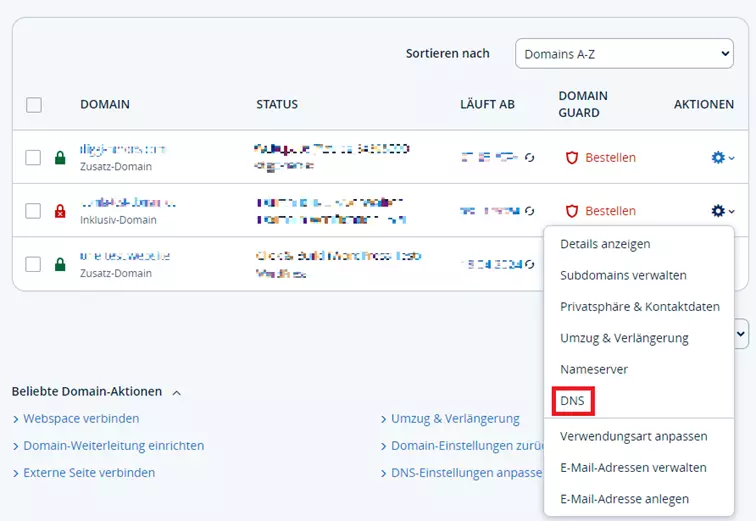 Ansicht Ihrer Domains und DNS-Einstellungen