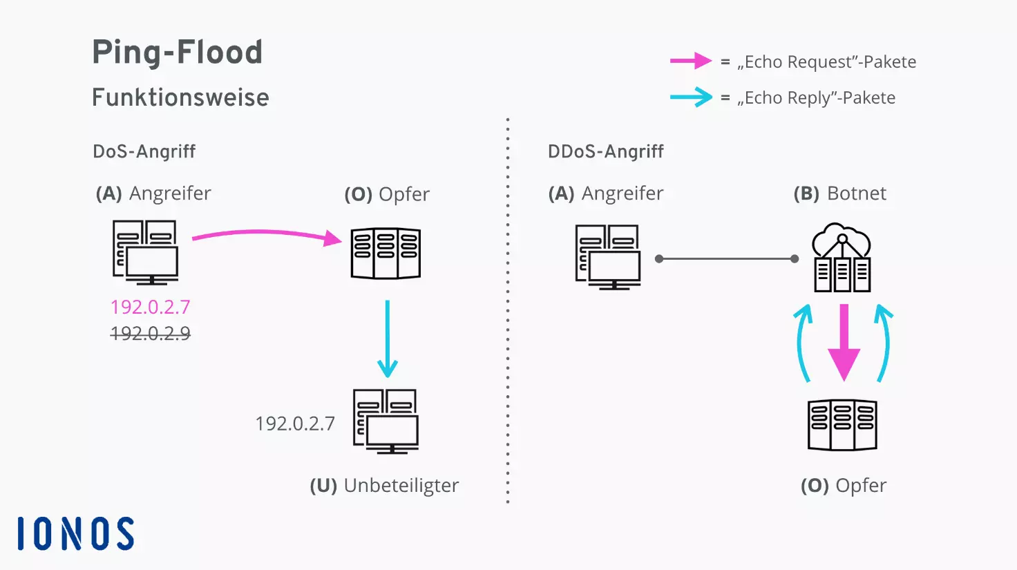 Ping-Flood Funktionsweise: DoS- und DDoS-Varianten