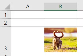 Ein Bild in Excel an die Zellengröße angepasst