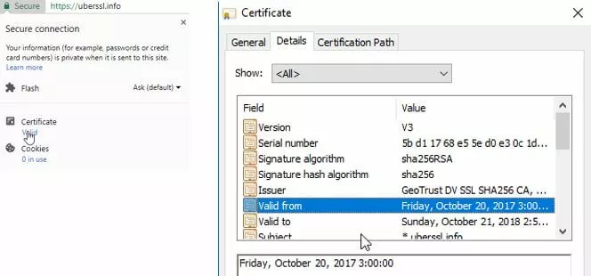 So rufen Sie Detailinformationen zu einem SSL-Zertifikat mit Google Chrome ab