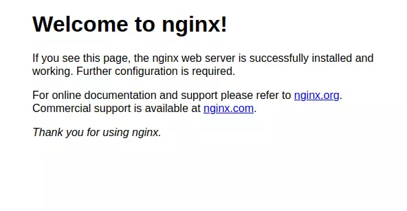 Willkommensbotschaft eines Nginx-Webservers im Browser