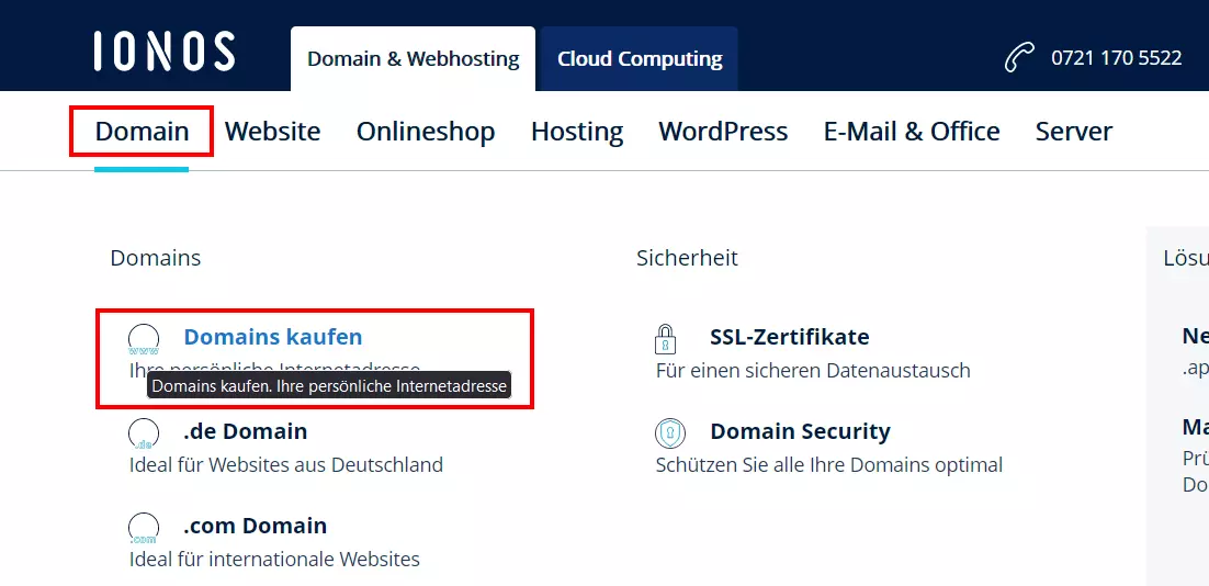 IONOS Website: „Domain“-Menü