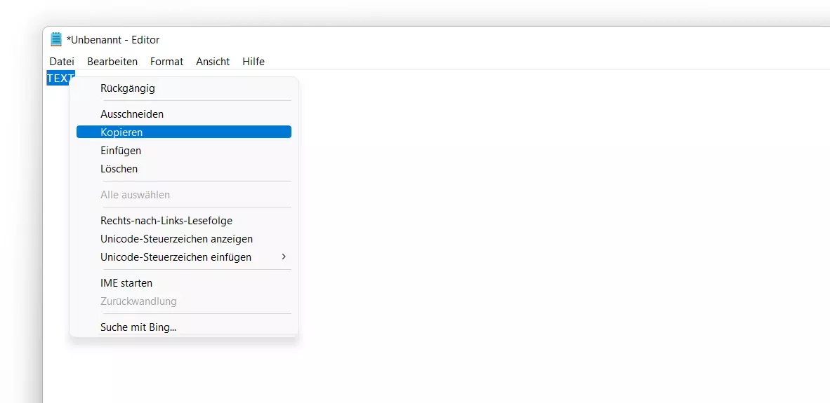 Text-Element kopieren via Rechtsklick-Menü