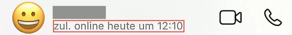 Screenshot des Online-Status im WhatsApp-Chat