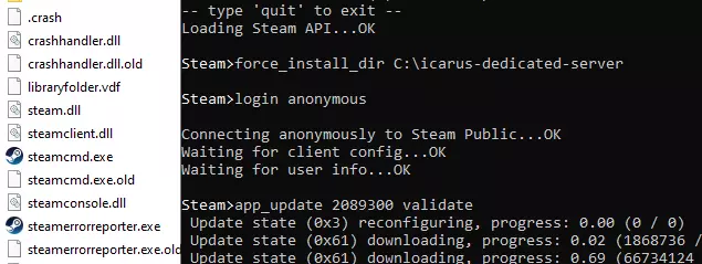 SteamCMD: Installation des Icarus-Dedicated-Servers