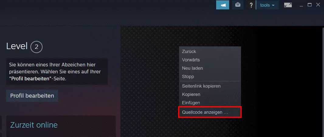 Steam-App: „Quellcode anzeigen“ im Profilmenü