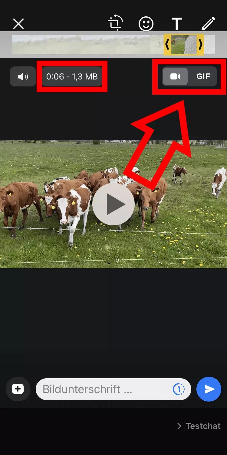 iPhone-Screenshot der Videobearbeitung in WhatsApp samt GIF-Button