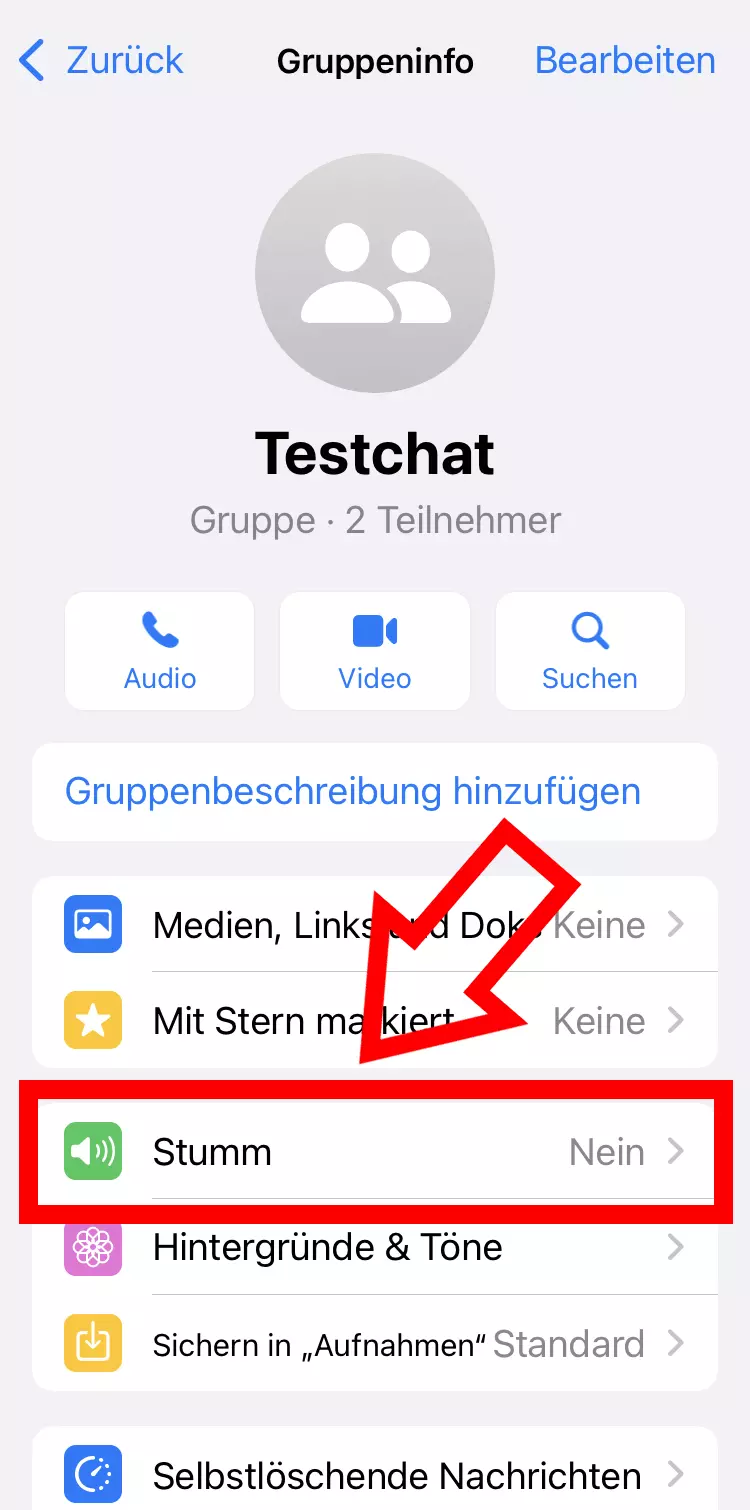 iPhone-Screenshot der Stummschaltungsfunktion im Chat-Infofenster