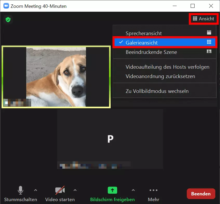 Zoom-Galerieansicht in laufendem Meeting aktivieren.
