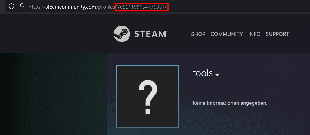 Browser-Adresszeile mit Steam ID