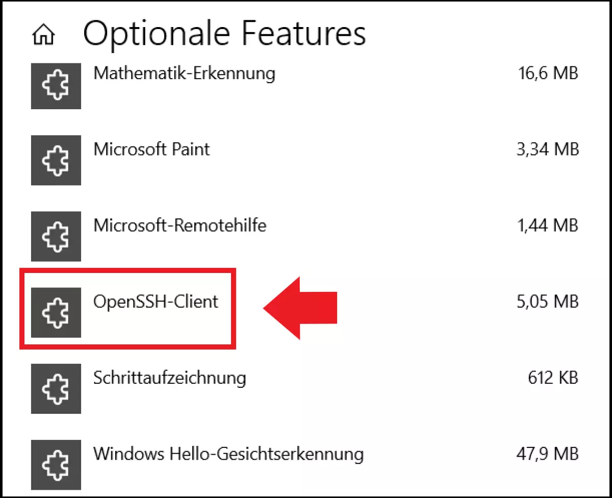 Das Menü „Optionale Features“ mit dem OpenSSH-Client