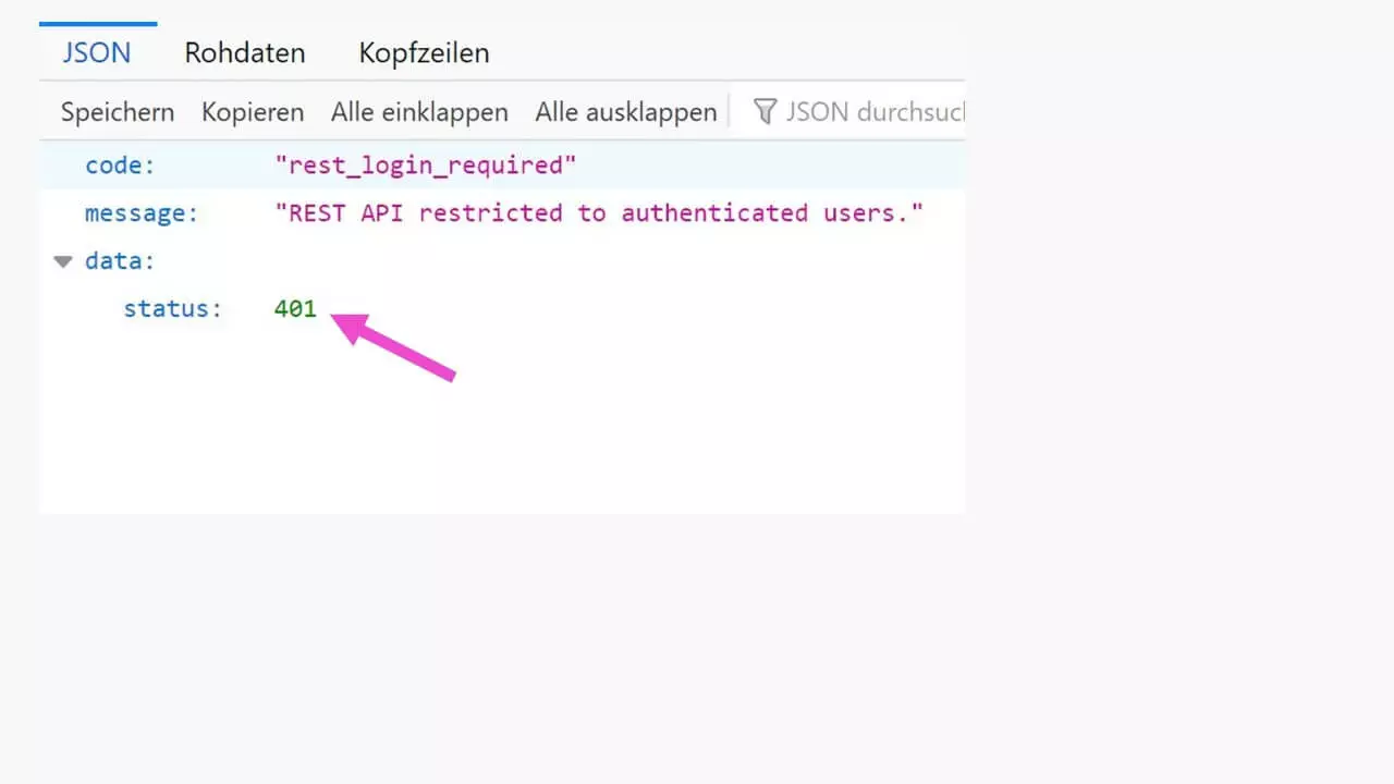 WordPress REST-API: Zugriff per Plug-in verhindert