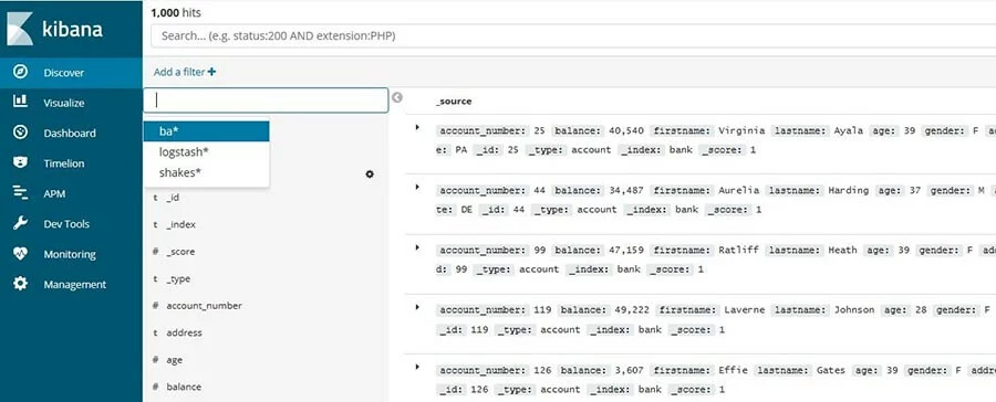 Kibana: Auflistung der Einträge eines Beispieldatensatzes