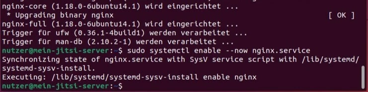 Ubuntu-Terminal: Einrichtung und Start von NGINX