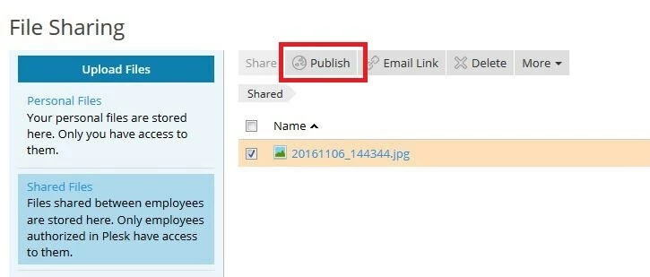 Plesk: Menüpunkt „Shared Files“