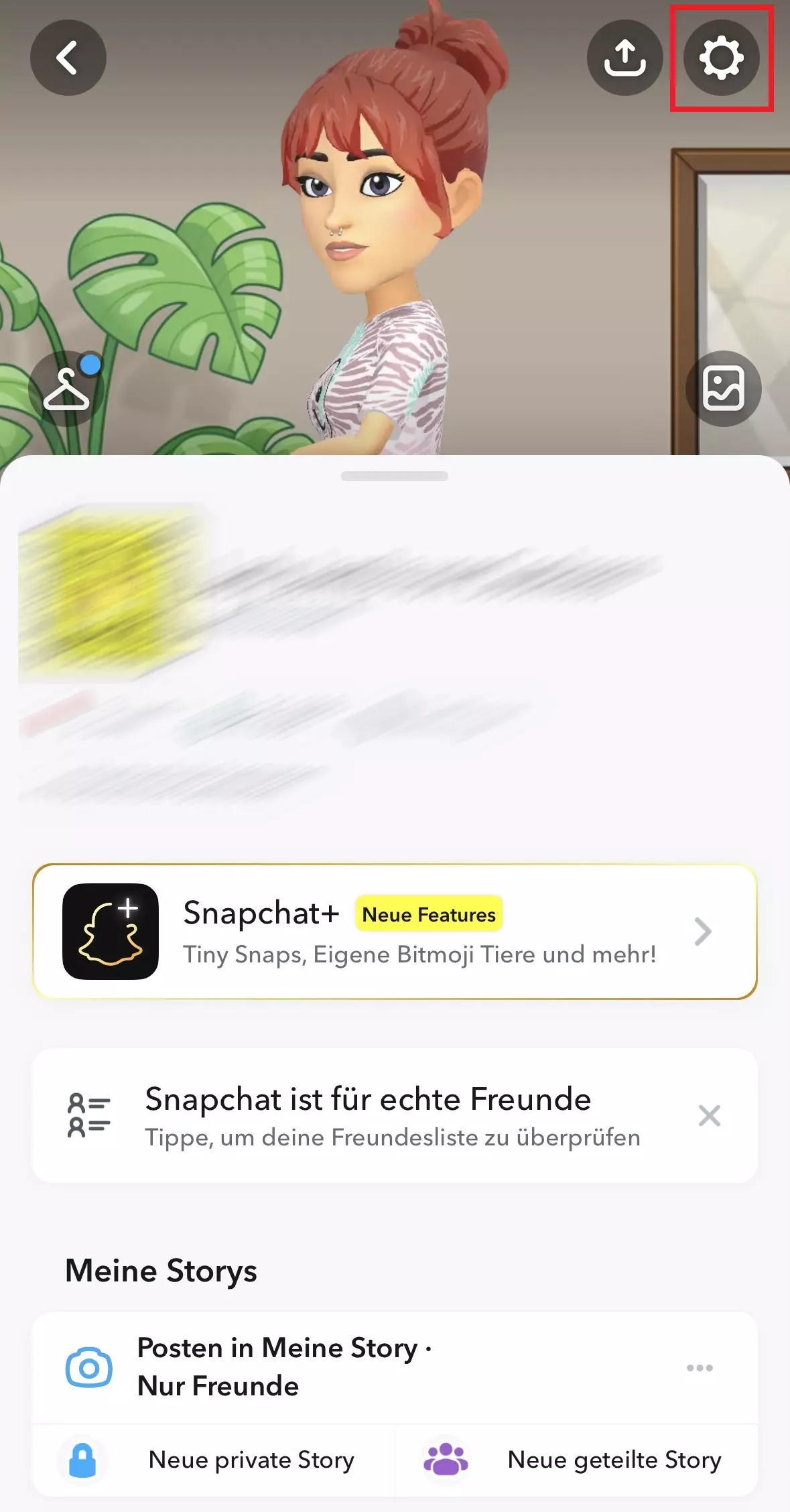 Snapchat-Nutzerprofil in der App