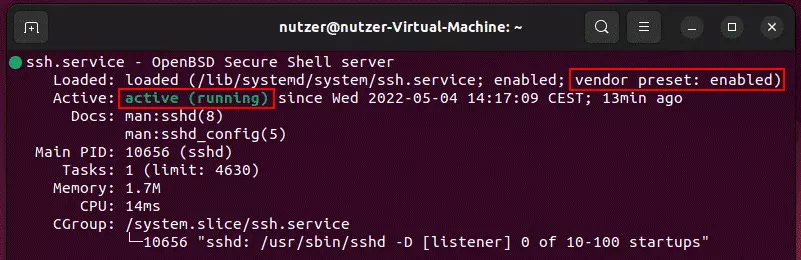 Terminal-Ausgabe für die OpenSSH-Statusabfrage