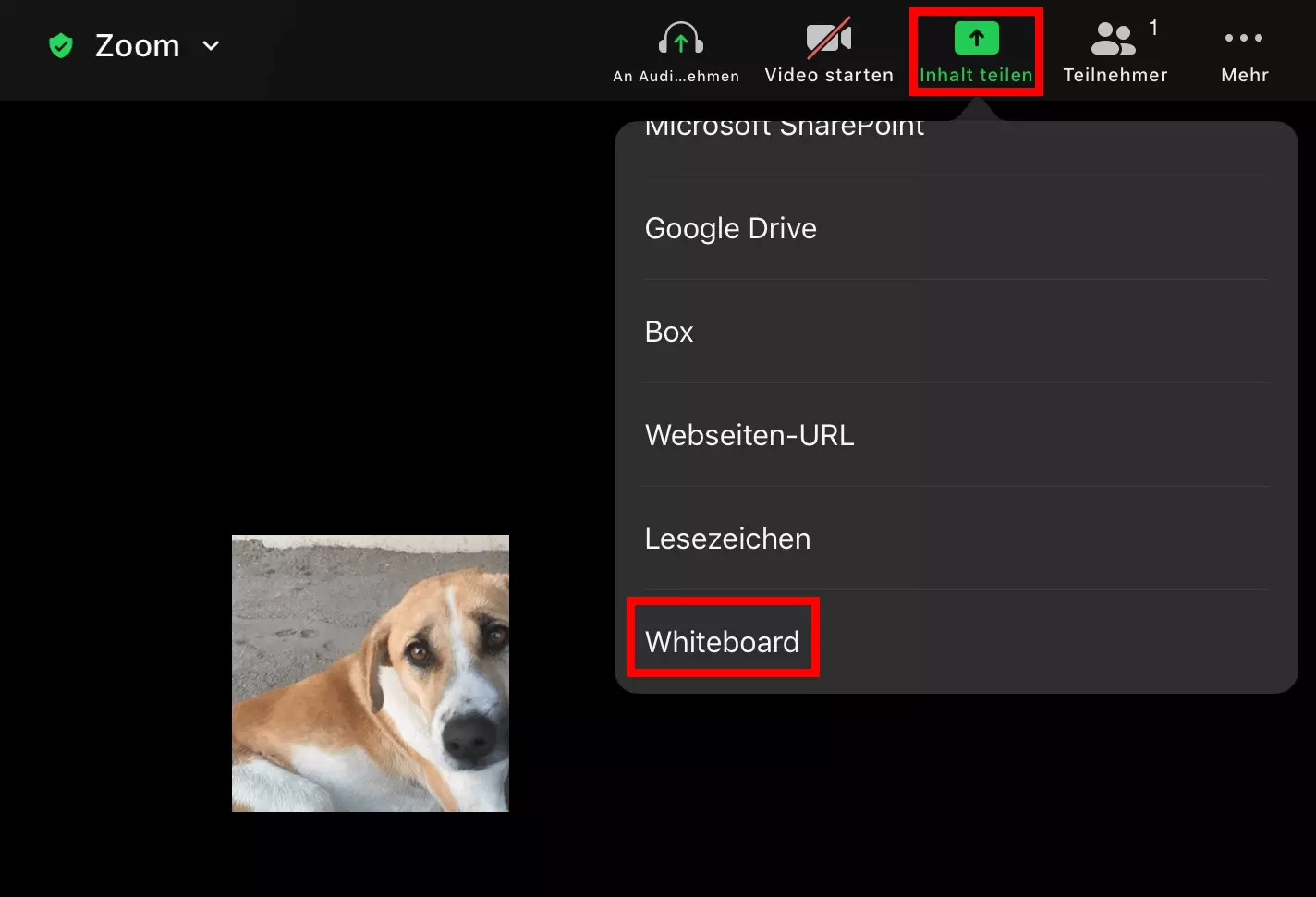 Option zum Starten eines Zoom-Whiteboards in der iPad-App