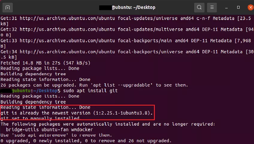 Terminal-Ansicht nach Installation von Git unter Ubuntu 20.04