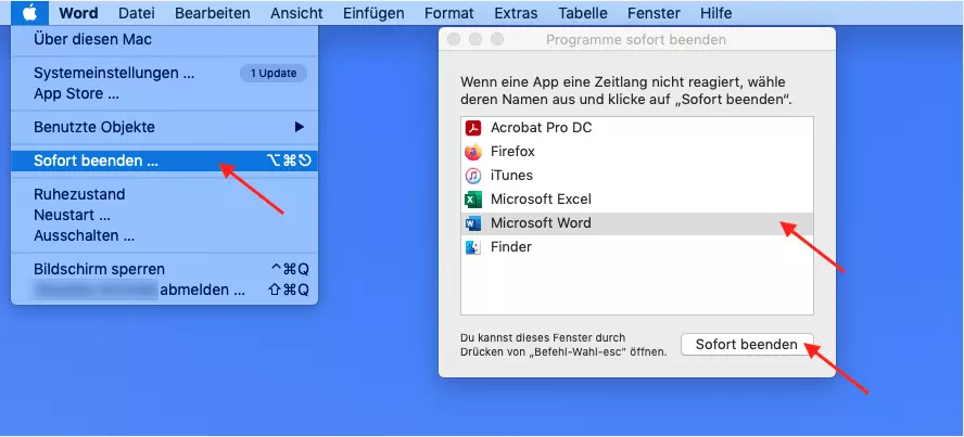 Mac-Programm beenden: Programm über das Apple-Menü beenden