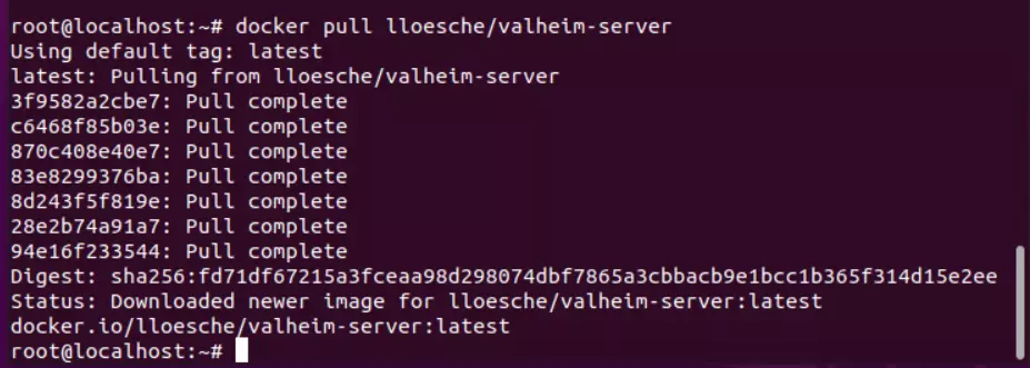 Valheim-Docker-Edition: Pull via Terminal