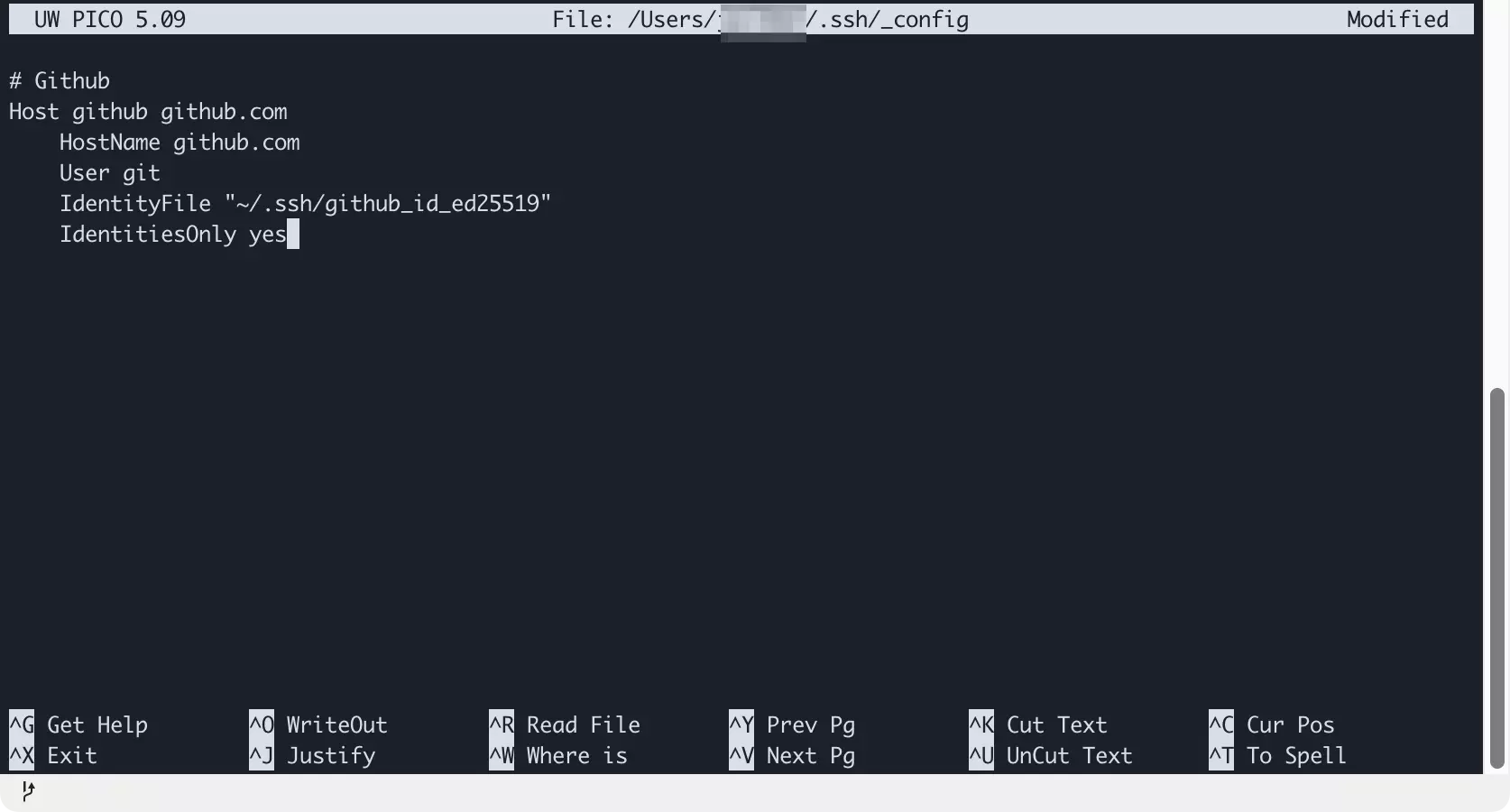 Einfügen der GitHub-Konfiguration in SSH-Config-Datei