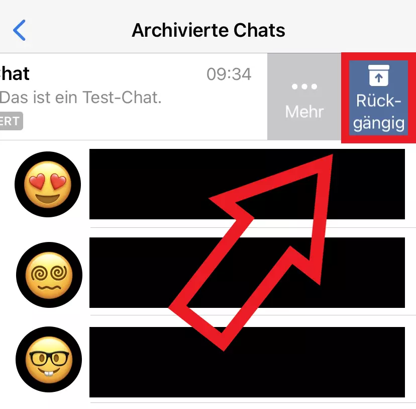 iPhone-Screenshot eines archivierten WhatsApp-Chats