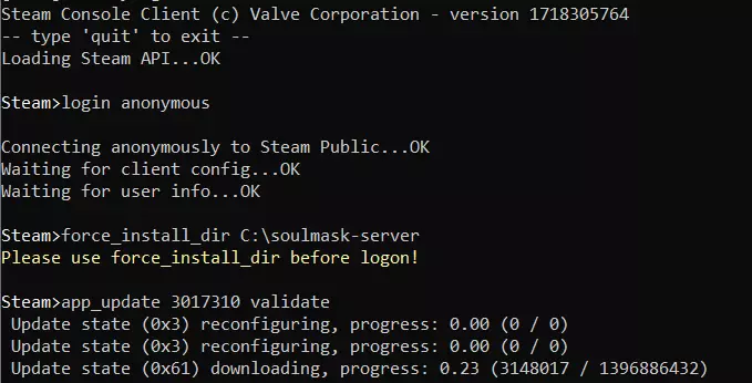 Soulmask-Server-Installation via SteamCMD