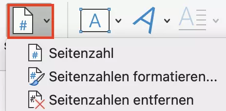 Menü für Word-Seitenzahlen