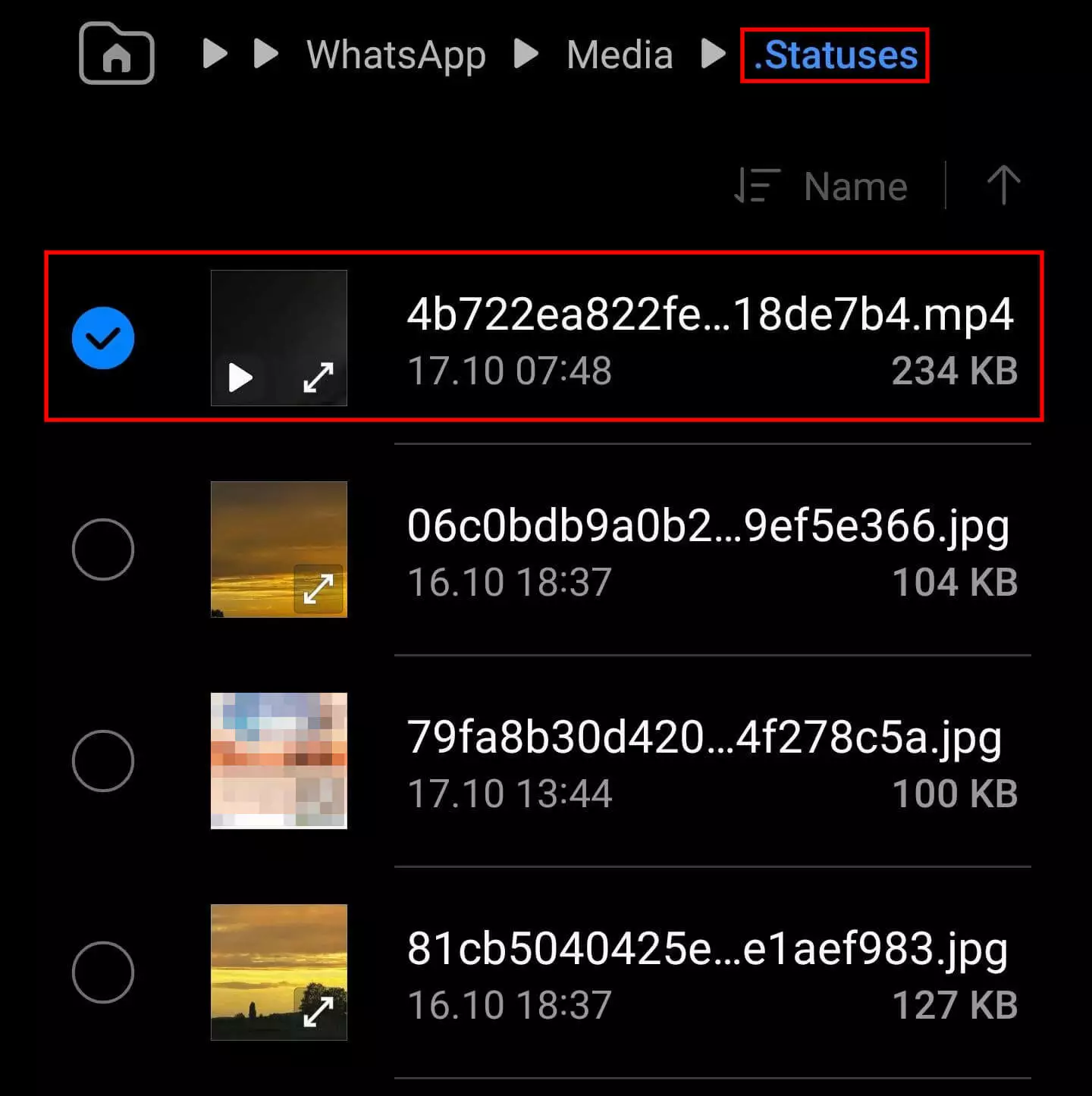 Ausgewähltes WhatsApp-Status-Video im .Statuses-Ordner