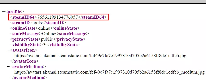 XML-Datei des Steam-Profils im Webbrowser