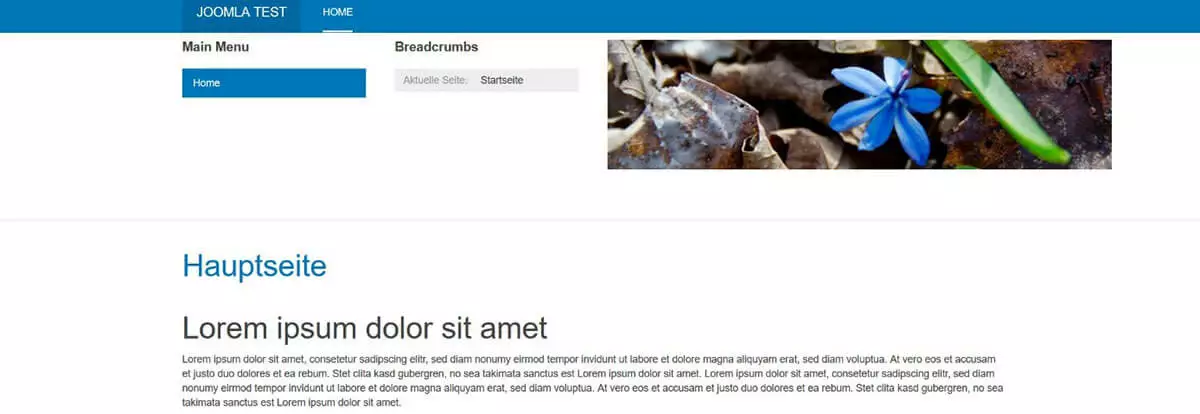 Joomla-Testseite mit erstem Beispiel-Beitrag