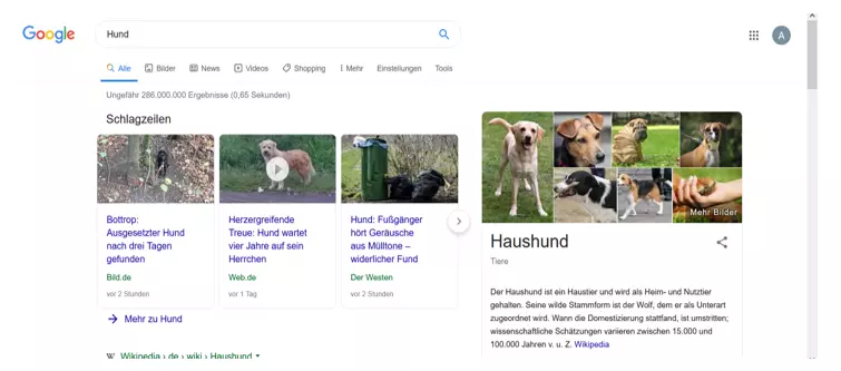 Google Knowledge Graph zur Suchanfrage „Hund”